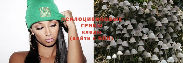 твердый Абаза